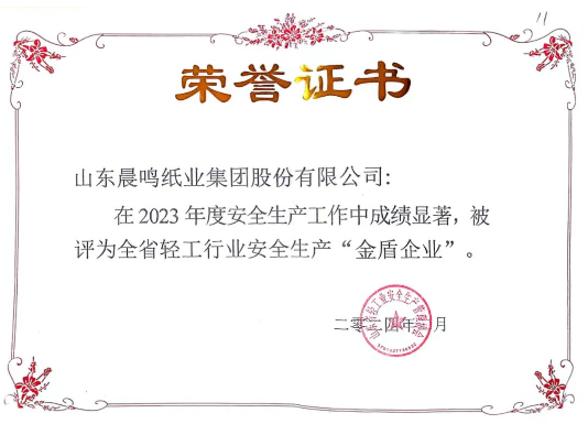 晨鳴集團獲評全省輕工行業(yè)安全生產“金盾企業(yè)”